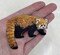 Red Panda, Realistic Animals, Embroidered, Iron on Patch